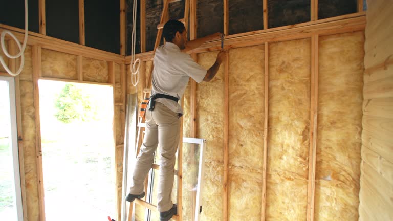 Best Eco-Friendly or Green Insulation Solutions  in Ller, WA